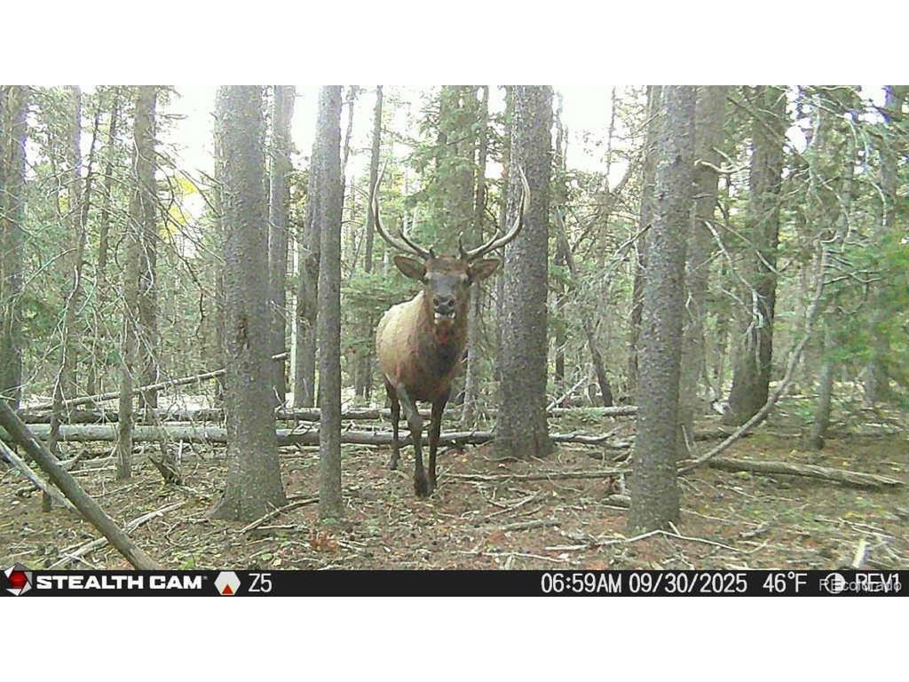 3427 Grojean Dr, Fort Garland, CO 81133