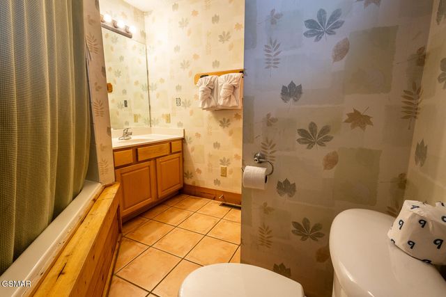 336 Big Bear Way, Pigeon Forge, TN 37863