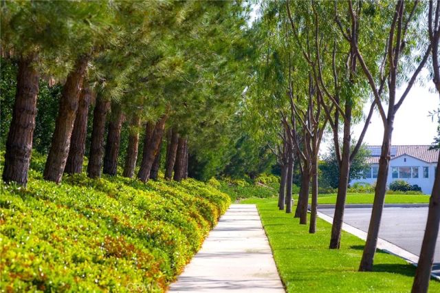 117 Petunia, Irvine, CA 92618