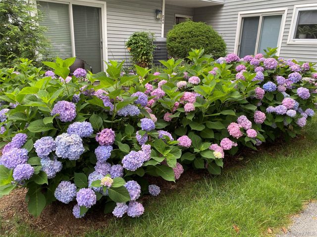 208 Harris Road EA6, Bedford Hills, NY 10507