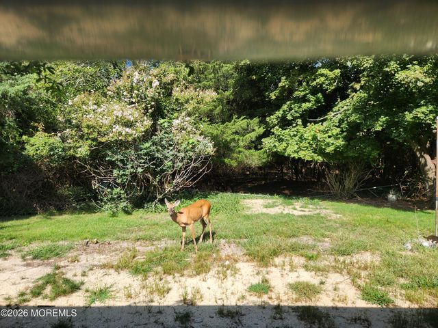 29 Beach Drive, Little Egg Harbor, NJ 08087