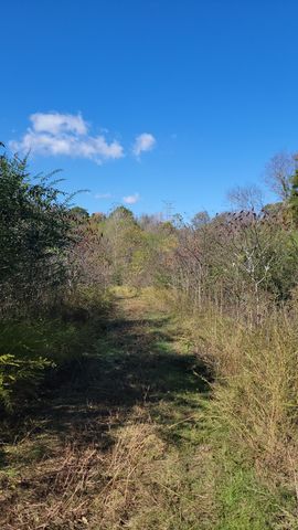 0 Briana Rd, Lebanon, TN 37087