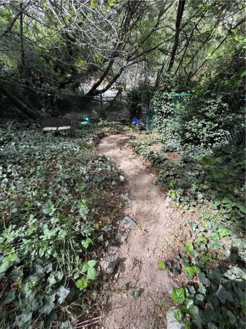 14169 Pollard, Lytle Creek, CA 92358