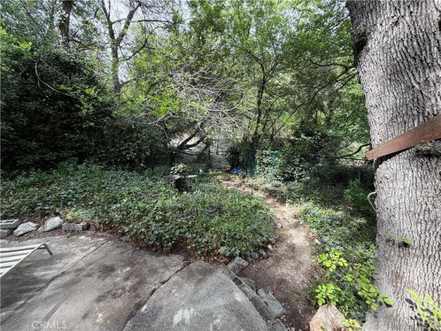 14169 Pollard, Lytle Creek, CA 92358