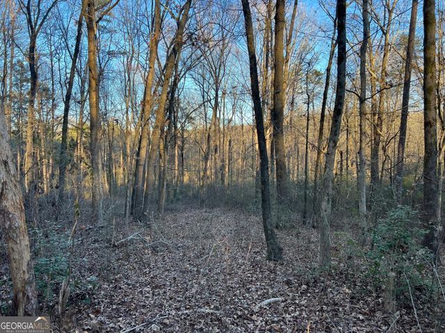 4638 Highway 63, Carnesville, GA 30521