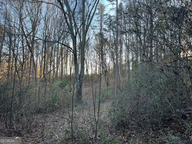 4638 Highway 63, Carnesville, GA 30521