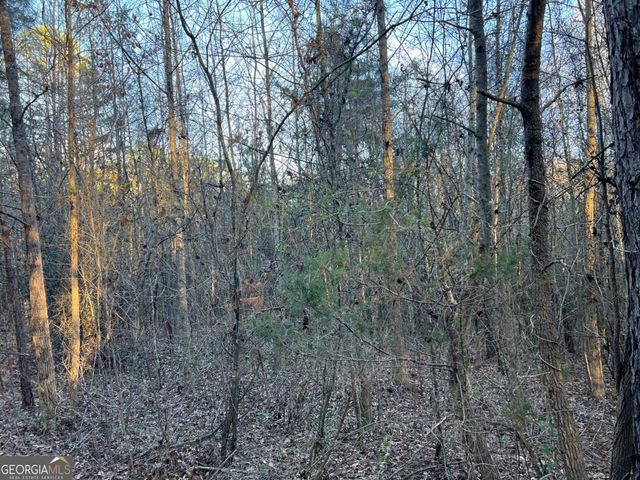 4638 Highway 63, Carnesville, GA 30521