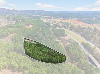 5333 Highway 64, Lot 4, Copperhill, TN 37317