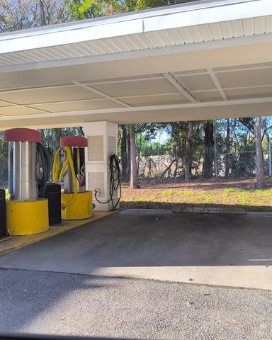 131 SOUTHERN PECAN CIRCLE 201, Winter Garden, FL 34787