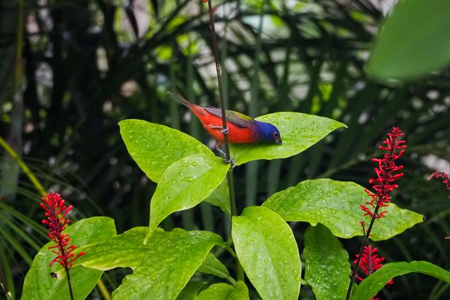 534 NW Kingston Street, Port St. Lucie, Port St Lucie, FL 34983