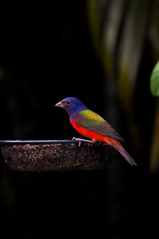 534 NW Kingston Street, Port St. Lucie, Port St Lucie, FL 34983