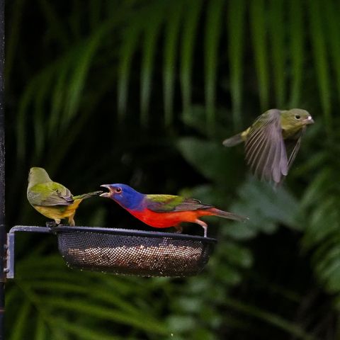 534 NW Kingston Street, Port St. Lucie, Port St Lucie, FL 34983