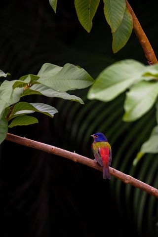 534 NW Kingston Street, Port St. Lucie, Port St Lucie, FL 34983