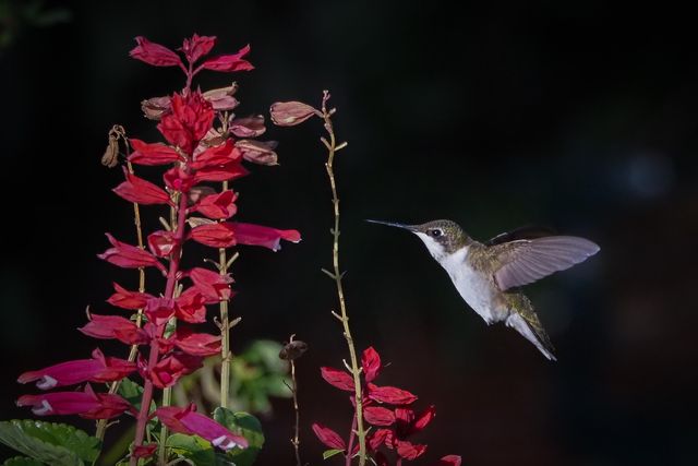 534 NW Kingston Street, Port St. Lucie, Port St Lucie, FL 34983