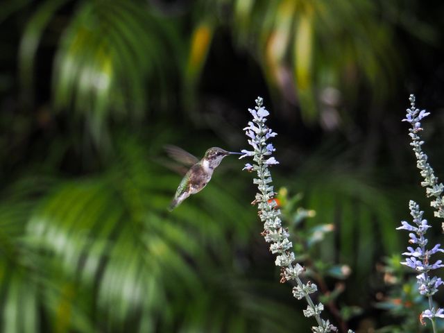 534 NW Kingston Street, Port St. Lucie, Port St Lucie, FL 34983