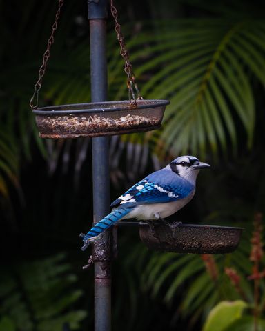 534 NW Kingston Street, Port St. Lucie, Port St Lucie, FL 34983