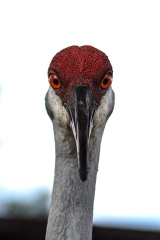 534 NW Kingston Street, Port St. Lucie, Port St Lucie, FL 34983