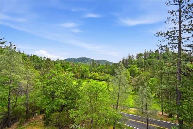 14000 Nelson Lane, Cobb, CA 95426