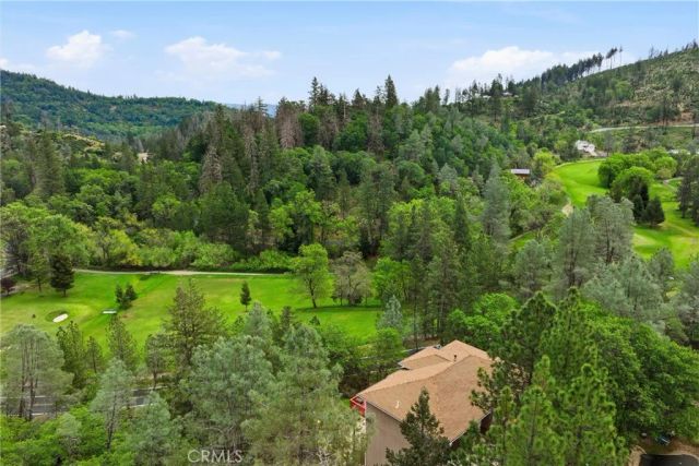 14000 Nelson Lane, Cobb, CA 95426