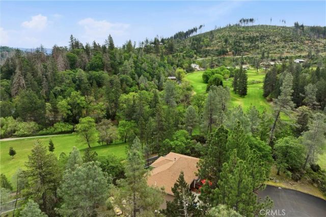 14000 Nelson Lane, Cobb, CA 95426