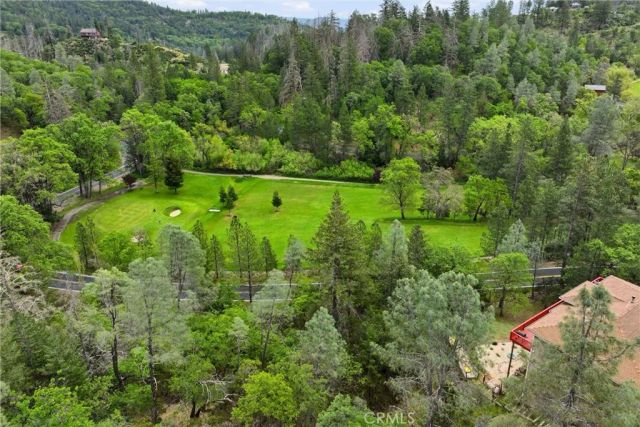 14000 Nelson Lane, Cobb, CA 95426