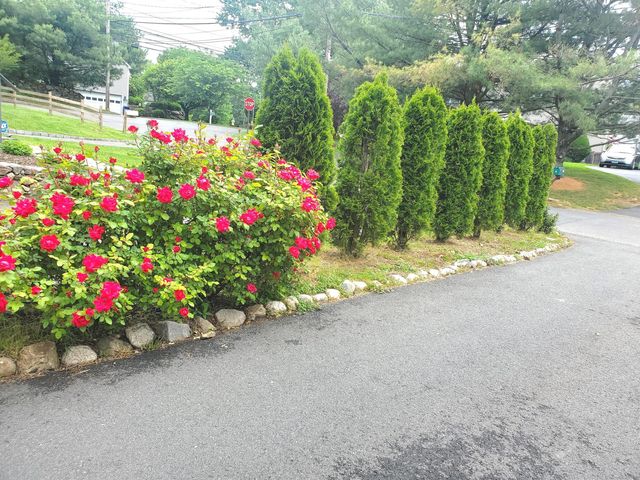 39 Nash Place A, Norwalk, CT 06854