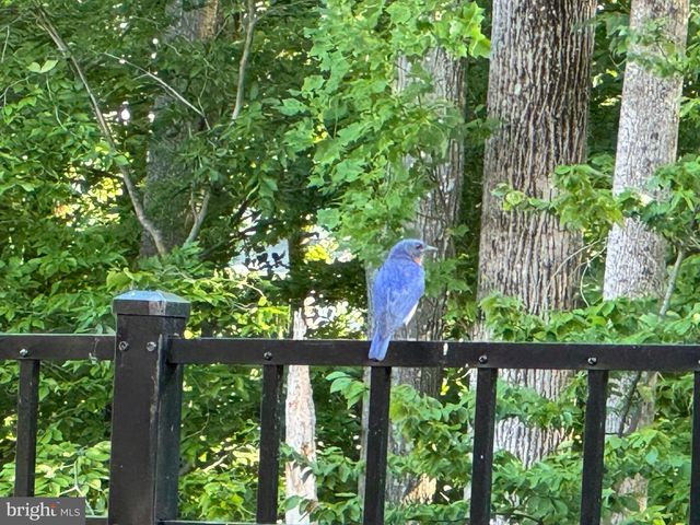 1555 MEADOWLARK GLEN RD, Dumfries, VA 22026