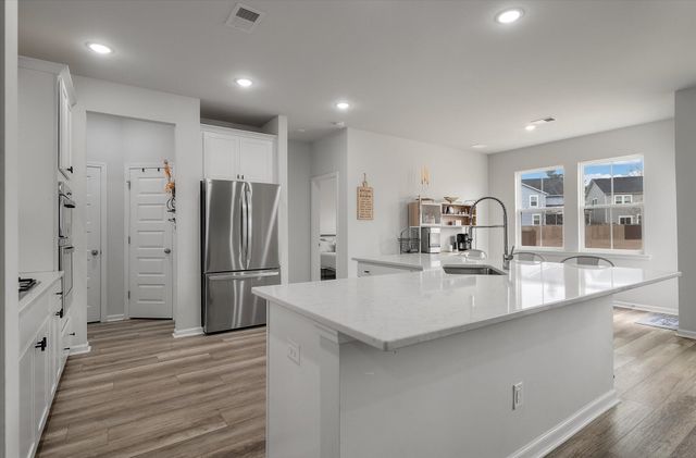 87 Red Bluff Street, Summerville, SC 29483