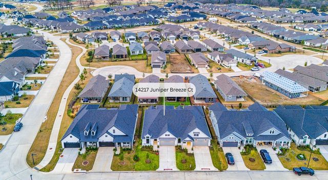 14217 Juniper Breeze Court, Willis, TX 77318