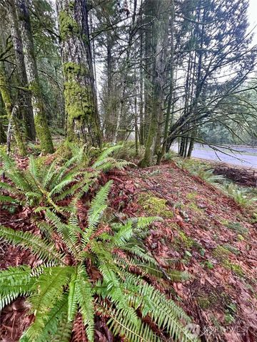 5820 Old Highway 410 SW, Olympia, WA 98512