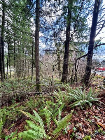 5820 Old Highway 410 SW, Olympia, WA 98512