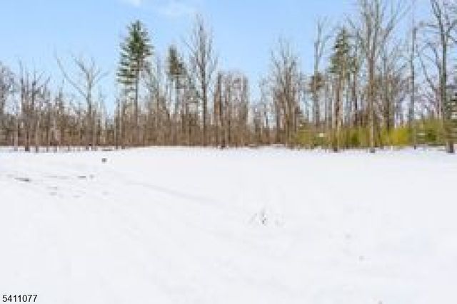 331 Mount Hermon Rd, Hope Twp., NJ 07825