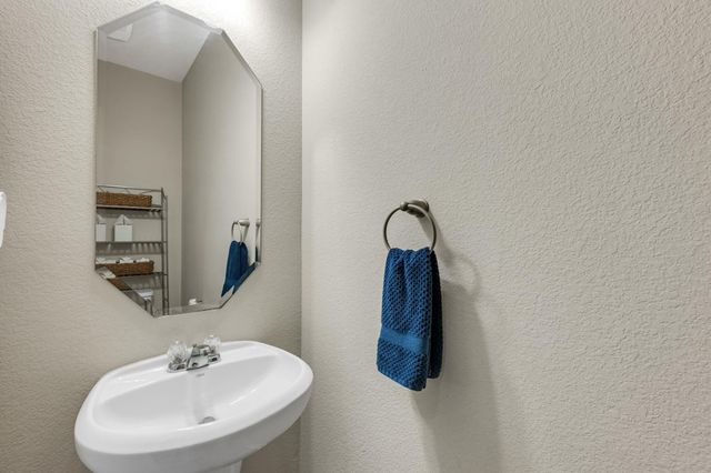 9402 Savannah Holly Drive, Houston, TX 77075