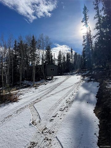 1245 Winchester Drive, Como, CO 80432