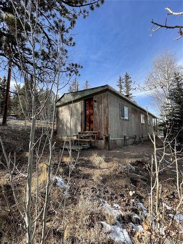 1245 Winchester Drive, Como, CO 80432