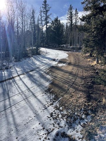 1245 Winchester Drive, Como, CO 80432