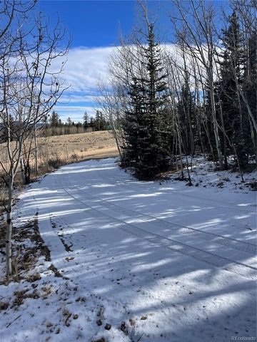 1245 Winchester Drive, Como, CO 80432