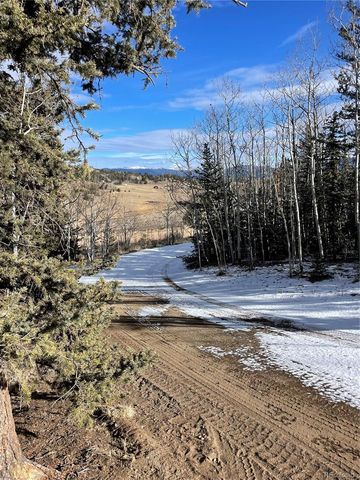 1245 Winchester Drive, Como, CO 80432