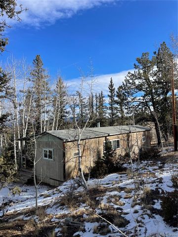 1245 Winchester Drive, Como, CO 80432