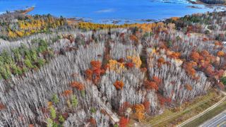 TBD County 4 - Lot 10, Lake George, MN 56458