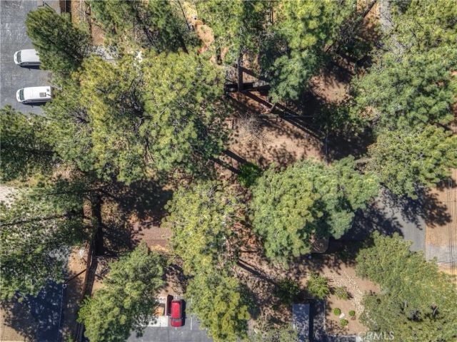 551 Conklin Road, Big Bear Lake, CA 92315