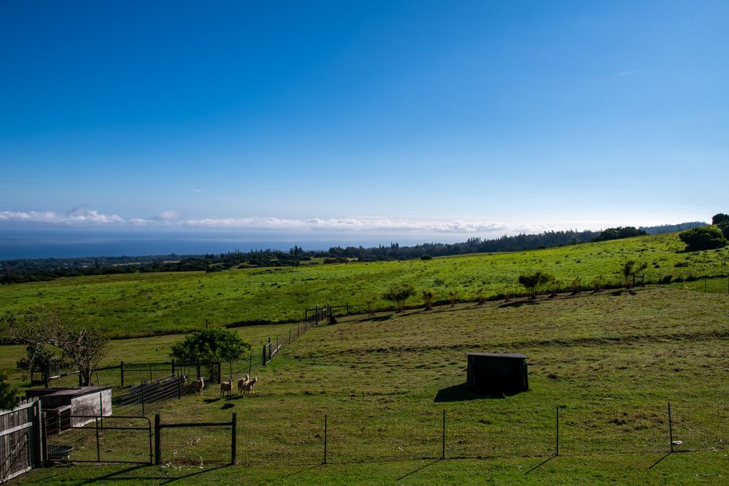 Image 25 of property listing at 56-771 KUALAPA PL, Hawi, HI 96719