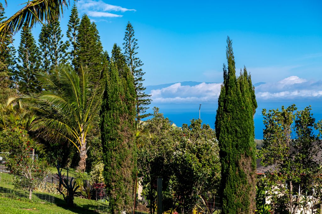 Image 26 of property listing at 56-771 KUALAPA PL, Hawi, HI 96719