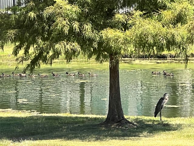 714 Halpin Avenue, Celina, TX 75009