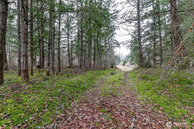 25414 48th Avenue E, Graham, WA 98338