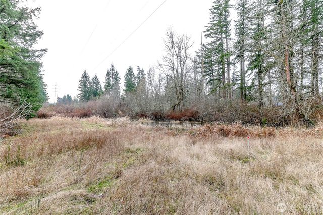 25414 48th Avenue E, Graham, WA 98338