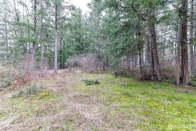 25414 48th Avenue E, Graham, WA 98338