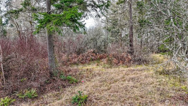 25414 48th Avenue E, Graham, WA 98338