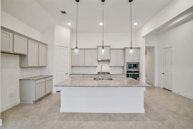 16018 Tangled Vine Lane, Conroe, TX 77302