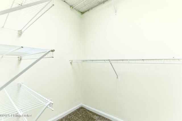 2019 Bonnycastle Ave, Louisville, KY 40205